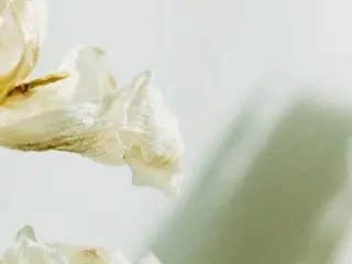 ネイル S. Ishiuchiのネイルデザイン