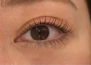マツエク・マツパ Daisy lash 京橋店堀井のマツエク・マツパデザイン