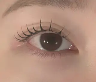 マツエク・マツパ マリーテレジア 🐨MIURAのマツエク・マツパデザイン