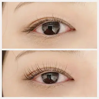 マツエク・マツパ ｍｉｐｐｙ 🪽のマツエク・マツパデザイン