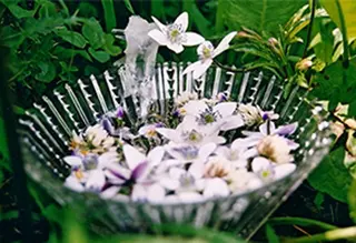 アロマリンパ・ヘッド スパmumucoのエステ・リラクイメージ