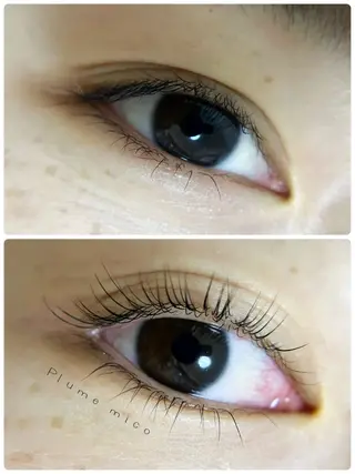 マツエク・マツパ Plume micoのマツエク・マツパデザイン