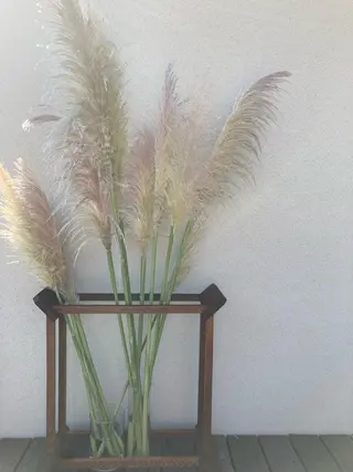 Balance  Therapies所属・東大阪初リメディアル Hiromiのエステ・リラクイメージ