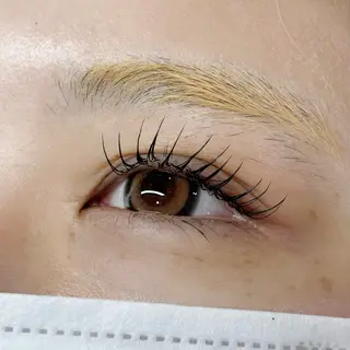 マツエク・マツパ ハルナ🐈‍⬛ Arune 大宮のマツエク・マツパデザイン