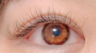 マツエク・マツパ Pinkganesh Eyelashのマツエク・マツパデザイン