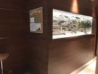 NATURA：BO  のエステ・リラクイメージ