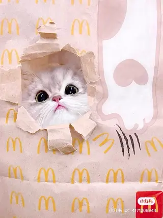 マツエク・マツパ eyelist. mizuki🐈‍⬛のマツエク・マツパデザイン