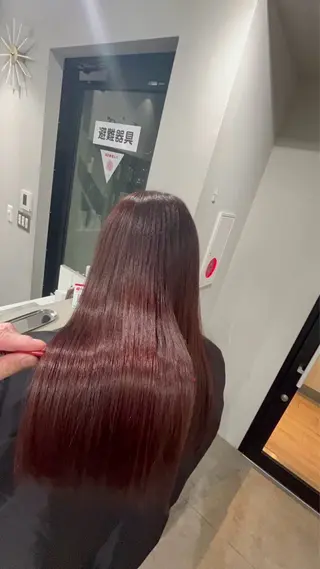 ロング REINA ISHIDOのヘアスタイル