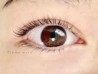 マツエク・マツパ Plume micoのマツエク・マツパデザイン