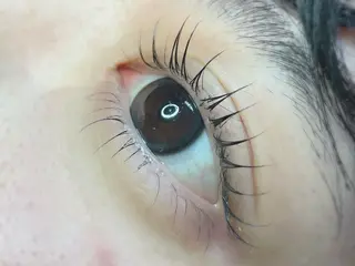 マツエク・マツパ TOPアイリスト ふたつぎちさとのマツエク・マツパデザイン