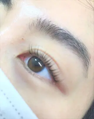 マツエク・マツパ アイブロウ/まつぱ T-lash恵比寿店のマツエク・マツパデザイン