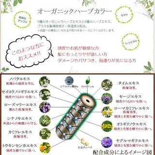 カラー エレガンス 六甲店のヘアスタイル