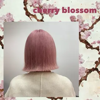 ショート カラー 🌿似合わせブリーチ 小俣　来🌿のヘアスタイル