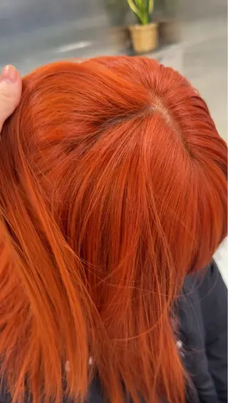 ショート カラー 冬っぽカラー/ マツエク/ゆきなのマツエク・マツパデザイン