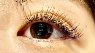 マツエク・マツパ nico所属・Shiho 🌼のマツエク・マツパデザイン