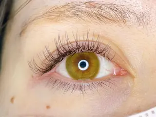 マツエク・マツパ AYA 【eyelash】のマツエク・マツパデザイン