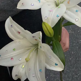 アイブロウ サキ🎀 /まゆげとまつげの眉毛・アイブロウイメージ