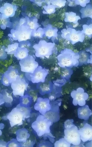 モデル募集中🫐 Ramu 🥣の眉毛・アイブロウイメージ