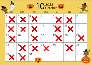 ネイル プライベートサロン Featherのネイルデザイン