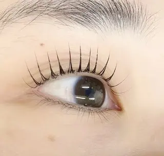 マツエク・マツパ 🌼Alba🌼 犬馬塲のマツエク・マツパデザイン