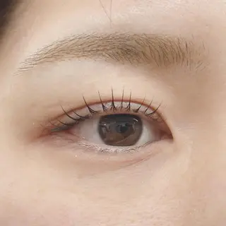 マツエク・マツパ tozone eye AYANOのマツエク・マツパデザイン