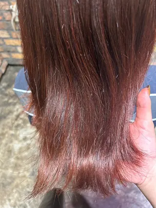 セミロング 福村 彩夏のヘアスタイル