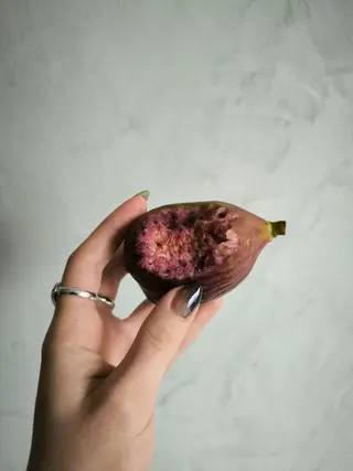 ミディアム renard nailのネイルデザイン