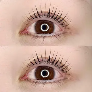 マツエク・マツパ Madonna Lilyのマツエク・マツパデザイン