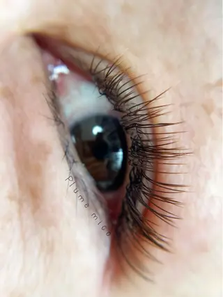 マツエク・マツパ Plume micoのマツエク・マツパデザイン