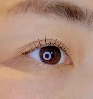 マツエク・マツパ arimo hair&eyelash所属・arimo アイリスト右原のマツエク・マツパデザイン