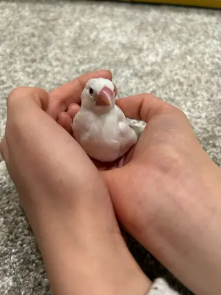 小顔×肌質改善サロン soin〔ソワン〕のエステ・リラクイメージ