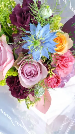 高岡⌇ Ayaka🌻のエステ・リラクイメージ