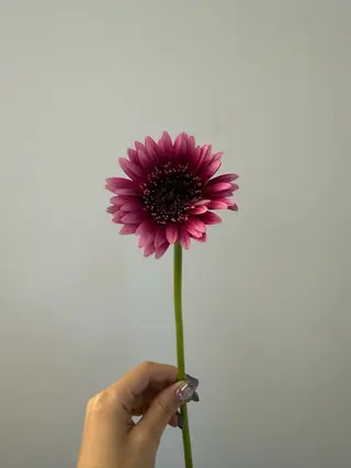 🌻花屋併設🌻濱 幸帆のヘアスタイル