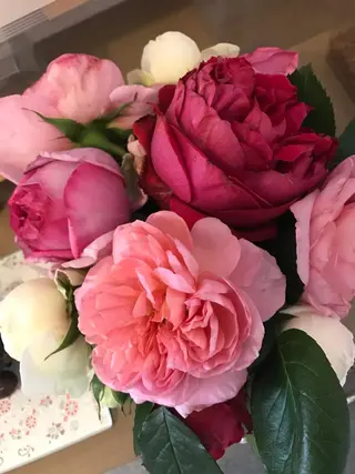 岩井 秋子のエステ・リラクイメージ