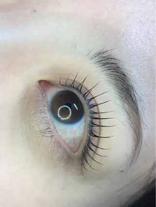 マツエク・マツパ TOPアイリスト ふたつぎちさとのマツエク・マツパデザイン