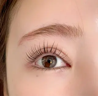 マツエク・マツパ RIM 🕊️ 恵比寿／ジュニアのマツエク・マツパデザイン