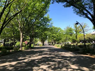 basico  のエステ・リラクイメージ