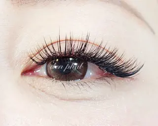 マツエク・マツパ サロンドデンファレ所属・salon de denphal 片岡のマツエク・マツパデザイン