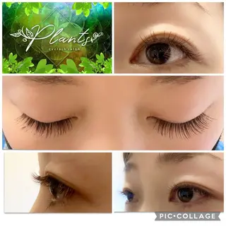 マツエク・マツパ Plants　斧田 ひろみのマツエク・マツパデザイン