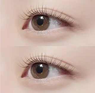 マツエク・マツパ Pupu lash(ププラッシュ)所属・🐶Pupu lash🐶のマツエク・マツパデザイン