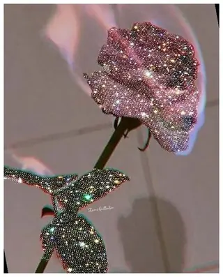 マツエク・マツパ eyelist. mizuki🐈‍⬛のマツエク・マツパデザイン