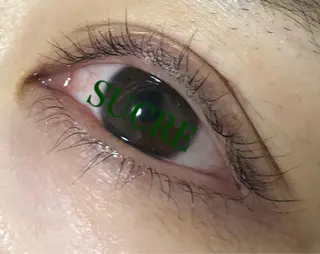 マツエク・マツパ EyelashSalon Liz.&所属・Liz.&現ino 平田のマツエク・マツパデザイン