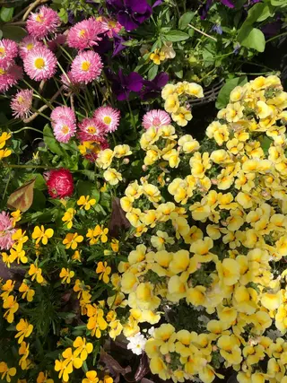 basico  のエステ・リラクイメージ