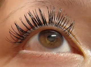 マツエク・マツパ princess 森 碧海のマツエク・マツパデザイン