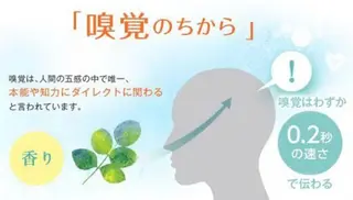 Bellferna所属・セラピスト杉山🌿 日暮里店のエステ・リラクイメージ