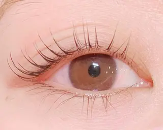 マツエク・マツパ Rocco eye 新宿御苑【ロッコアイ】フラットラッシュ/ボリュームラッシュ/アップワード所属・佐々木 範子のマツエク・マツパデザイン