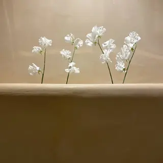 川原田麻衣【薬院/平 尾/高宮】艶髪のヘアスタイル