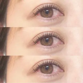 マツエク・マツパ PLUS EYE 銀座本店所属・プラスアイ銀座本店 🥀RIHO🥀のマツエク・マツパデザイン