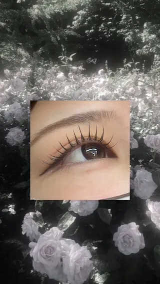 マツエク・マツパ MAQUIA古河店 高野のマツエク・マツパデザイン