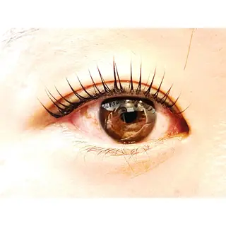 マツエク・マツパ handa kiyokaのマツエク・マツパデザイン